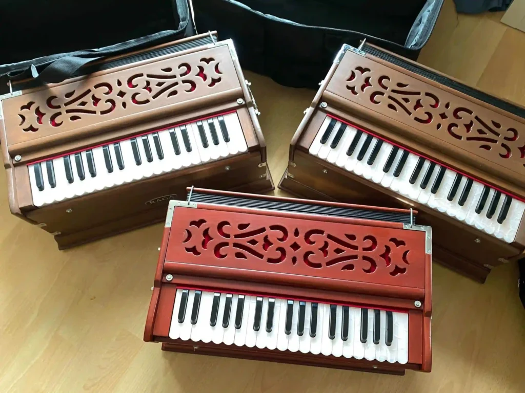 Harmonium Raga Standard 3 oktávy - profesionální harmonium pro hráče manter
